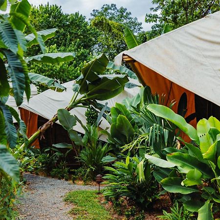 Jungle Gayborhood Hotel And Retreat Center San Luis  Экстерьер фото