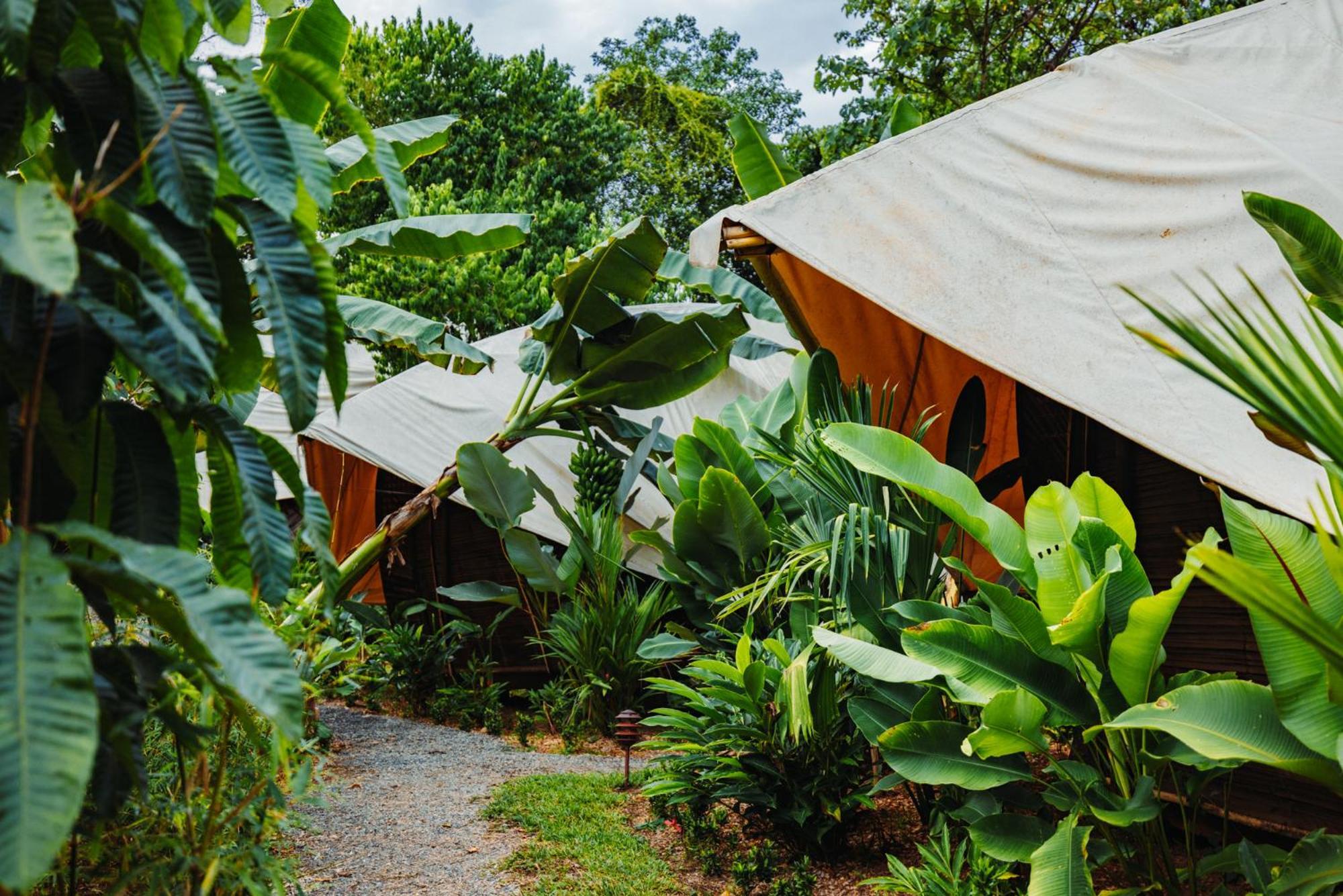 Jungle Gayborhood Hotel And Retreat Center San Luis  Экстерьер фото