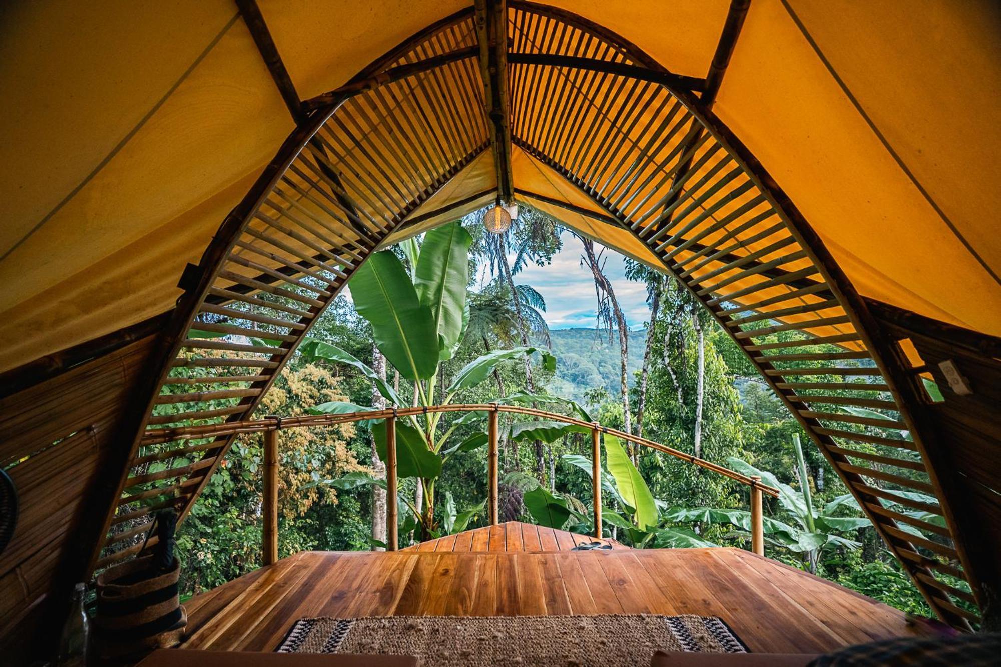 Jungle Gayborhood Hotel And Retreat Center San Luis  Экстерьер фото