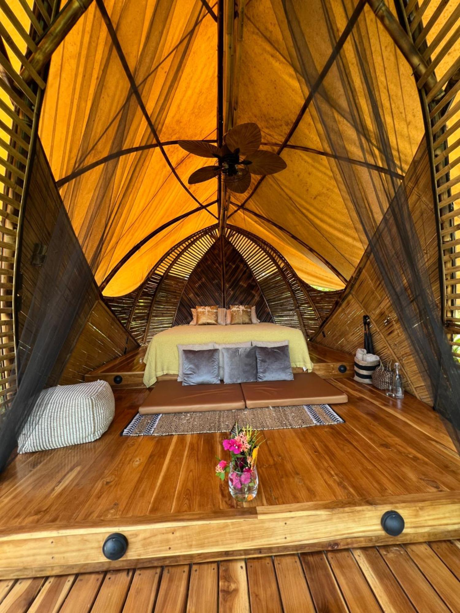 Jungle Gayborhood Hotel And Retreat Center San Luis  Экстерьер фото